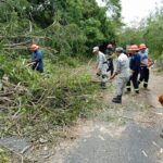 Buscan liberar accesos a destinos turísticos de Marquelia