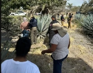 ROJA ENCUENTRAN RESTOS HUMANOS