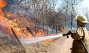 ESTADO INCENDIOS