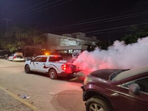 estado fumigaciones