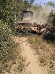 BOLETÍN CUAUTEPEC RASTREO (1)