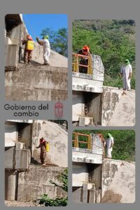 IGUALAPA RETIRAN ENJAMBRE