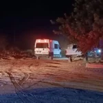 Encuentran 7 hombres muertos en Sonora