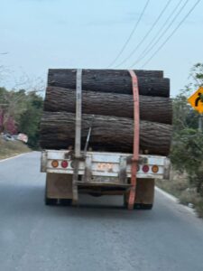 SAN LUIS CAMION CARGADO CON MADERA