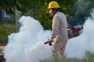 ESTADO FUMIGACIONES