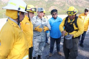 ESTADO INCENDIOS PREVENCION (1)